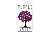 Projekt graficzny, nazwa firmy, tworzenie logo firm Profesjonalne logo dla Purple Valley - noon