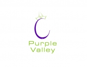 Projekt graficzny, nazwa firmy, tworzenie logo firm Profesjonalne logo dla Purple Valley - felipewwa