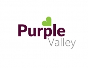 Projekt graficzny, nazwa firmy, tworzenie logo firm Profesjonalne logo dla Purple Valley - dizajnmocno
