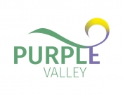Projekt graficzny, nazwa firmy, tworzenie logo firm Profesjonalne logo dla Purple Valley - sally_venno