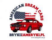Projekt graficzny, nazwa firmy, tworzenie logo firm logo dla firmy import aut z USA - oldisgold