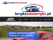 Projekt graficzny, nazwa firmy, tworzenie logo firm logo dla firmy import aut z USA - timur