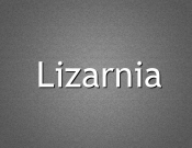 Projekt graficzny, nazwa firmy, tworzenie logo firm Konkurs na nazwę Lodziarni - Olczyk