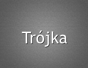 Projekt graficzny, nazwa firmy, tworzenie logo firm Nazwa firmy o wielu profilach  - Trollejbus