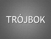 Projekt graficzny, nazwa firmy, tworzenie logo firm Nazwa firmy o wielu profilach  - gwiazda_r
