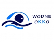 Projekt graficzny, nazwa firmy, tworzenie logo firm Logo dla kompleksu basenowego - agraf(i)ka