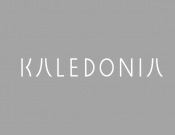 Projekt graficzny, nazwa firmy, tworzenie logo firm Logo dla producenta sukien ślubnych - zuuu