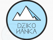 Projekt graficzny, nazwa firmy, tworzenie logo firm logo dla domku w górach - Slajter