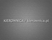 Projekt graficzny, nazwa firmy, tworzenie logo firm Nazwa - Wypożyczalnia Samochodów - RenataO
