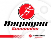 Projekt graficzny, nazwa firmy, tworzenie logo firm Nowe logo -stowarzszenia sportowego - timur