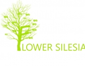 Projekt graficzny, nazwa firmy, tworzenie logo firm Logotyp firmy florystycznej - Basia14