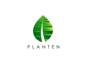 Projekt graficzny, nazwa firmy, tworzenie logo firm Logo dla e-sklepu z roślinami - noon