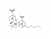 Projekt graficzny, nazwa firmy, tworzenie logo firm logo producenta nasion konopi - ania_smol