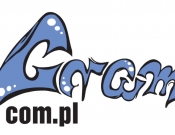 Projekt graficzny, nazwa firmy, tworzenie logo firm Logo dla portalu o grach planszowych - madeleiine