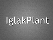 Projekt graficzny, nazwa firmy, tworzenie logo firm nazwa dla plantacji choinek - StraZak81