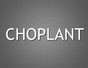 Projekt graficzny, nazwa firmy, tworzenie logo firm nazwa dla plantacji choinek - nyia