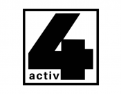 Projekt graficzny, nazwa firmy, tworzenie logo firm Logo sklepu outdoorowego 4aktiv - Dobry Grafik 