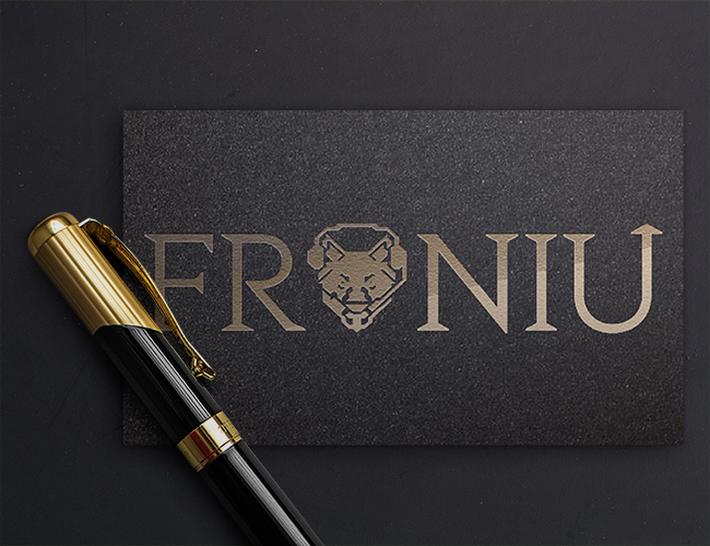 Projektowanie logo dla firm,  Logo Marki Osobistej - Karol Froń , logo firm - froniu_