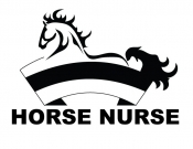 Projekt graficzny, nazwa firmy, tworzenie logo firm Logo dla fizjoterapii koni - alienmar