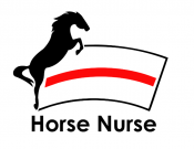 Projekt graficzny, nazwa firmy, tworzenie logo firm Logo dla fizjoterapii koni - natalia84