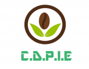 Projekt graficzny, nazwa firmy, tworzenie logo firm fajne logo dla poradni żywieniowej - Krystyn