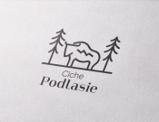 Projekt graficzny, nazwa firmy, tworzenie logo firm Logo pensjonatu/domków na Podlasiu  - Johan