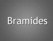 Projekt graficzny, nazwa firmy, tworzenie logo firm Nazwa dla firmy handlowo usługowej - Umades