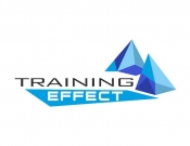 Projekt graficzny, nazwa firmy, tworzenie logo firm konkurs na logo Training Effect - Artur Pece