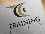 Projekt graficzny, nazwa firmy, tworzenie logo firm konkurs na logo Training Effect - Tomi83