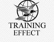 Projekt graficzny, nazwa firmy, tworzenie logo firm konkurs na logo Training Effect - Dorcia