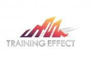 Projekt graficzny, nazwa firmy, tworzenie logo firm konkurs na logo Training Effect - Artur Pece