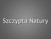 Projekt graficzny, nazwa firmy, tworzenie logo firm nazwa dla gabinetu biorezonansu  - Zajust