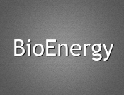 Projekt graficzny, nazwa firmy, tworzenie logo firm nazwa dla gabinetu biorezonansu  - EwelinaSz