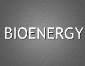 Projekt graficzny, nazwa firmy, tworzenie logo firm nazwa dla gabinetu biorezonansu  - Anciapancia7