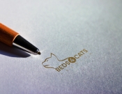 Projekt graficzny, nazwa firmy, tworzenie logo firm KONKURS NA „KOCIE LOGO”  - myConcepT