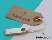 Projekt graficzny, nazwa firmy, tworzenie logo firm PanCiuch Logo dla e-sklepu - staach