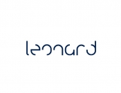 Projekt graficzny, nazwa firmy, tworzenie logo firm Zabaw się z Leonard - stone