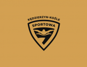 Projekt graficzny, nazwa firmy, tworzenie logo firm Logo na koszulki sekcji pływackiej  - DeViL3oo