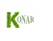 Projekt graficzny, nazwa firmy, tworzenie logo firm Grupa Konar  - dzika
