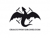 Projekt graficzny, nazwa firmy, tworzenie logo firm LOGO dla marki Cracow By Drone - Grawuar