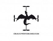 Projekt graficzny, nazwa firmy, tworzenie logo firm LOGO dla marki Cracow By Drone - Grawuar