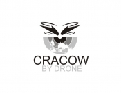 Projekt graficzny, nazwa firmy, tworzenie logo firm LOGO dla marki Cracow By Drone - jaczyk