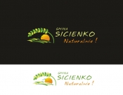 Projekt graficzny, nazwa firmy, tworzenie logo firm logo Gminy Sicienko - tejeda