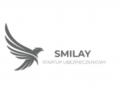 Projekt graficzny, nazwa firmy, tworzenie logo firm Smiyal startup ubezpieczeniowy - Toxic Girl