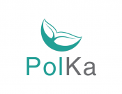 Projekt graficzny, nazwa firmy, tworzenie logo firm PolKa  - Wiruz