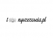 Projekt graficzny, nazwa firmy, tworzenie logo firm TonySzczescia.pl LOGO dla fotografa - Toxic Girl
