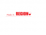 Projekt graficzny, nazwa firmy, tworzenie logo firm Nowe Logo dla Regiono - niki01