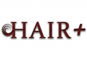 Projekt graficzny, nazwa firmy, tworzenie logo firm Logo marki Hair Plus (hair+) - Hardspeeds