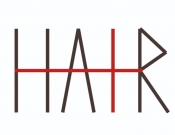Projekt graficzny, nazwa firmy, tworzenie logo firm Logo marki Hair Plus (hair+) - Fotika