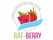 Projekt graficzny, nazwa firmy, tworzenie logo firm  gospodarstwo produkujące owoce - Julita